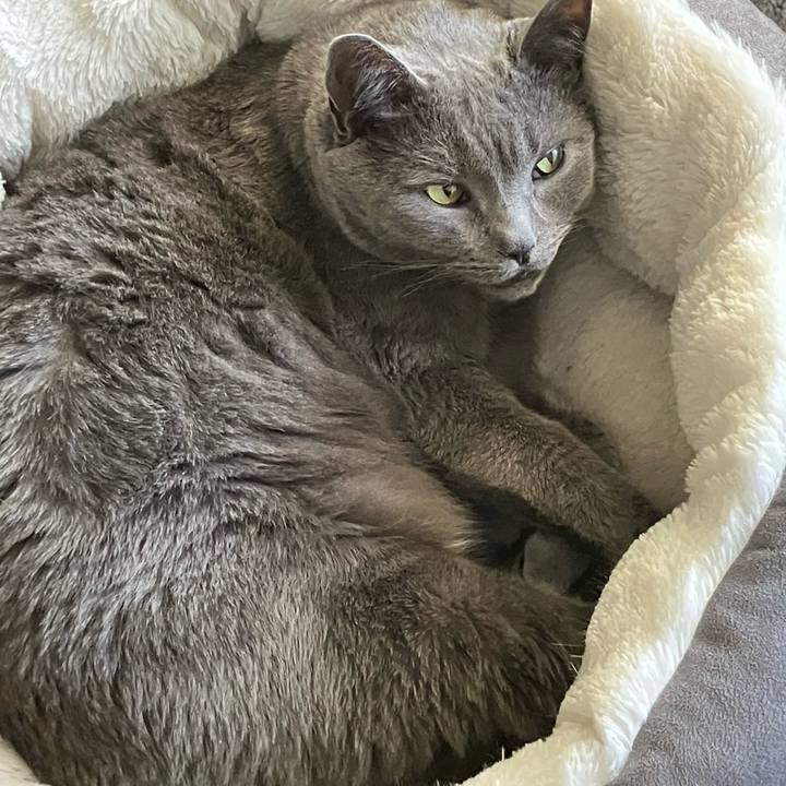 12fb0e45 a7dc 4f3d a706 e5855e33df74 1740377182605