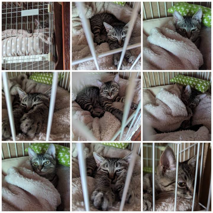 12fb3576 b865 424d b326 2643e88fea01 1702181126523