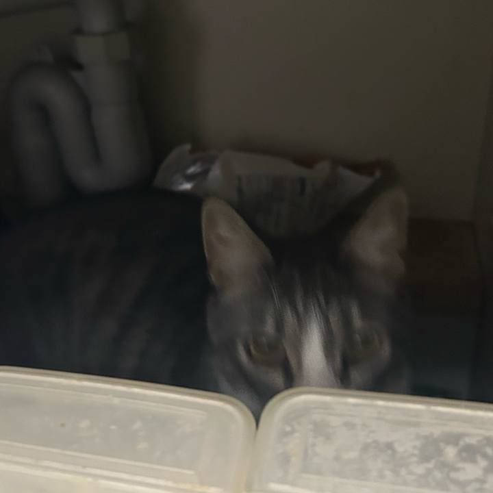 12fb6194 53d7 44a9 9af5 55ed6970f459 1775139660561