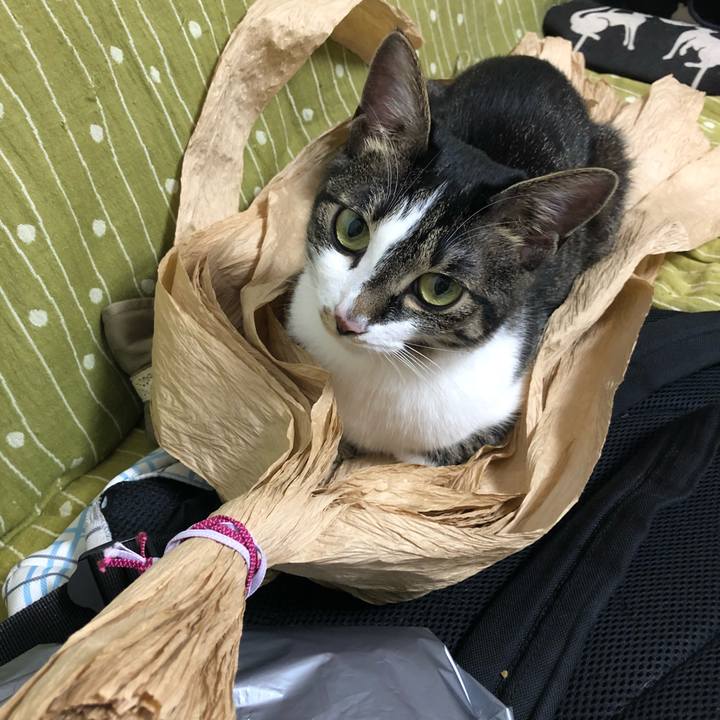 12fb892b 83ac 47eb 868f c63115f10c35 1529412868942