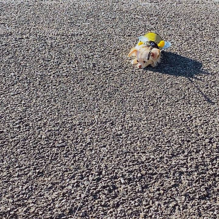 12fb8c16 2ff8 4c6d b2b3 eb5e2932ab5f 1610518362004