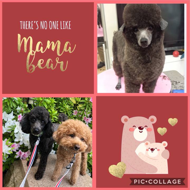 12fb95a0 8fc8 4971 9674 9e3111a31afb 1589111215684