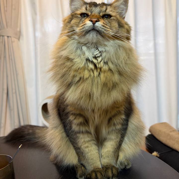 12fbb153 69c9 4dda 8bd0 58977f37c1a6 1762813167845