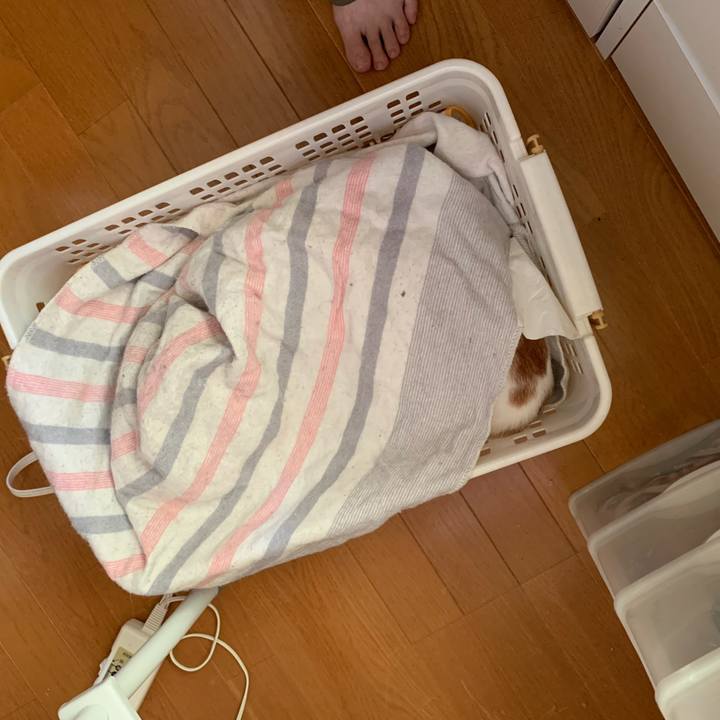 12fbe1f0 9cad 401a b971 9692a84e79cc 1610069878988