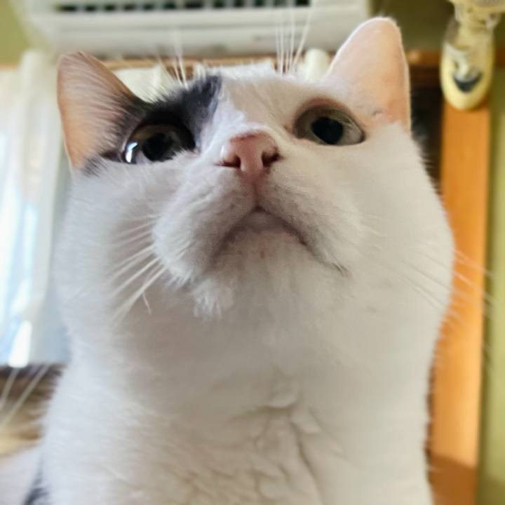 12fbfebe 2dd9 46a6 8b8f 9b6d5012c884 1635819358902