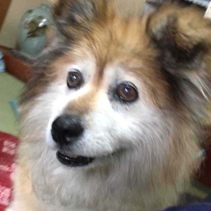 12fc52e2 54e1 4ede a5d3 ab5112578b82 1576656459986