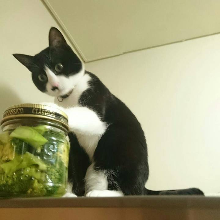 12fc71c0 8f9c 4dff ba8d 329ea7ae2cc5 1517578423597