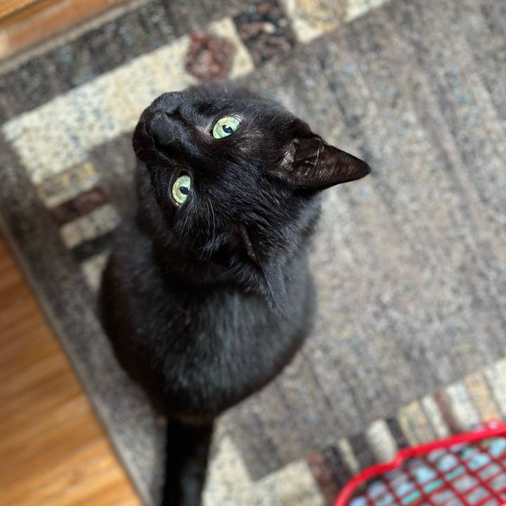 12fc8e06 bc10 4510 954b c6549abf9d7c 1685410383846