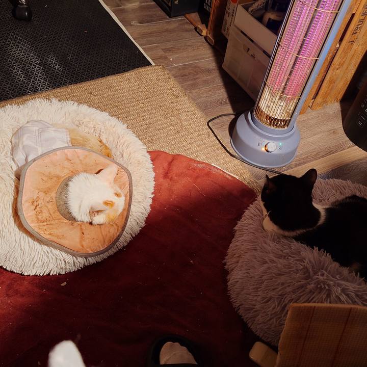 12fca13b 8e46 4d2e b1f9 ee59969454b9 1765457623580