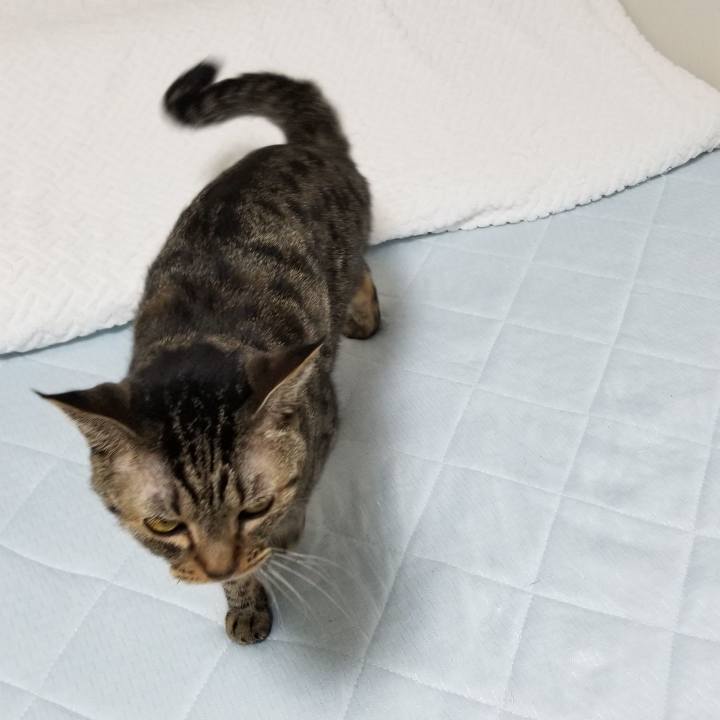 12fceafc 8497 4996 bf05 052b665cceab 1571283957624