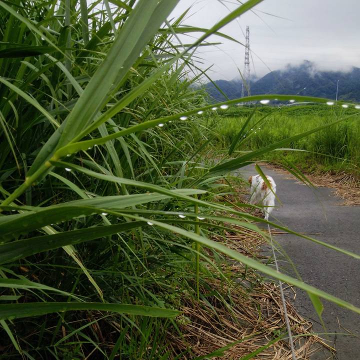 12fcf4cb 6401 47fe 84ba 027cf3cdf39e 1562888331997