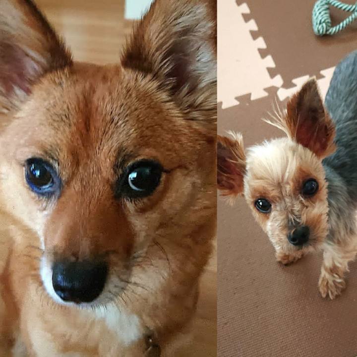 12fd0843 f11a 4b03 b755 09fca53c8e88 1562841944298