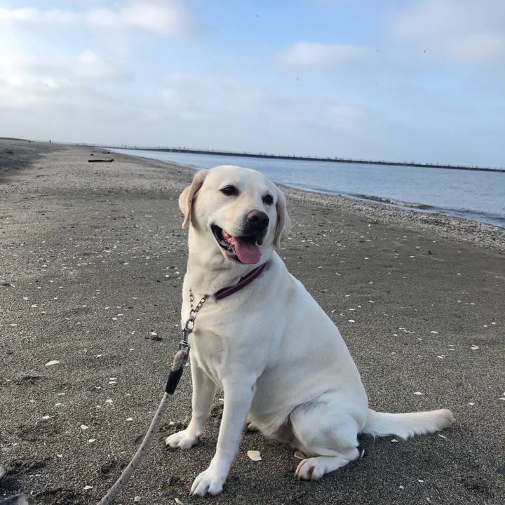 12fd3a8a 401a 468f a4d4 894f88e42c5e 1599305128099