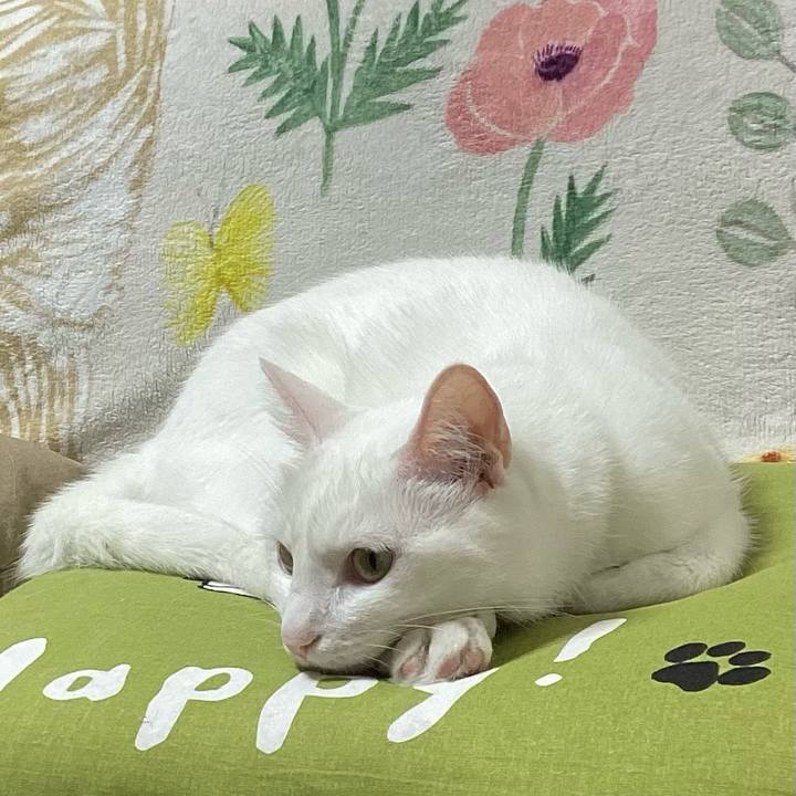 12fd680a cd61 441f 8e60 1488c8670c12 1680901453979