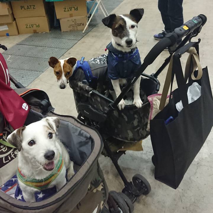 12fd8995 6c0f 404e 8803 a58dd935e1d5 1525589697119