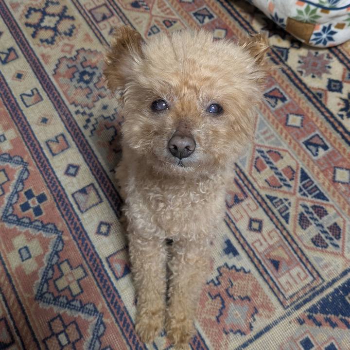 12fe1344 b6f3 49f9 9e04 892ed084840f 1774404570019