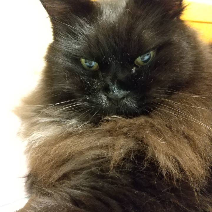 12fe14eb de14 4f19 b78e 813ec28f10c1 1694957193157