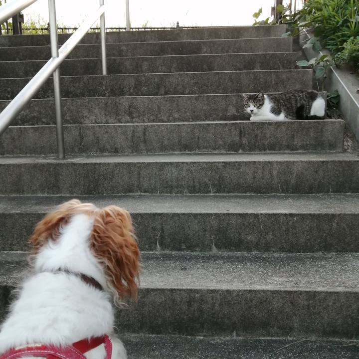 12fe1c5d c47d 4862 be62 89cb92035a86 1572596713597