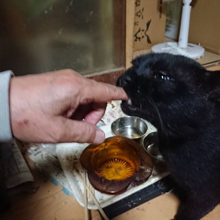 12fe6c21 f7d2 4045 81dc 173a861f065a 1629724080816