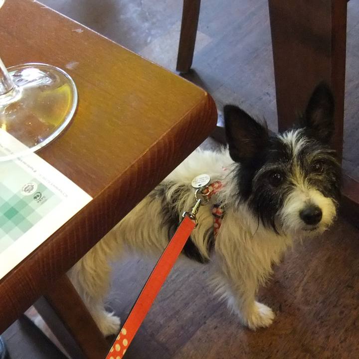 12fe78af 2972 47ec ac8e 6b33628267c4 1528469442333