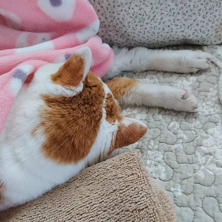 12fe8178 397e 4ffc 8bae fae8c73a1cb4 1567769233442