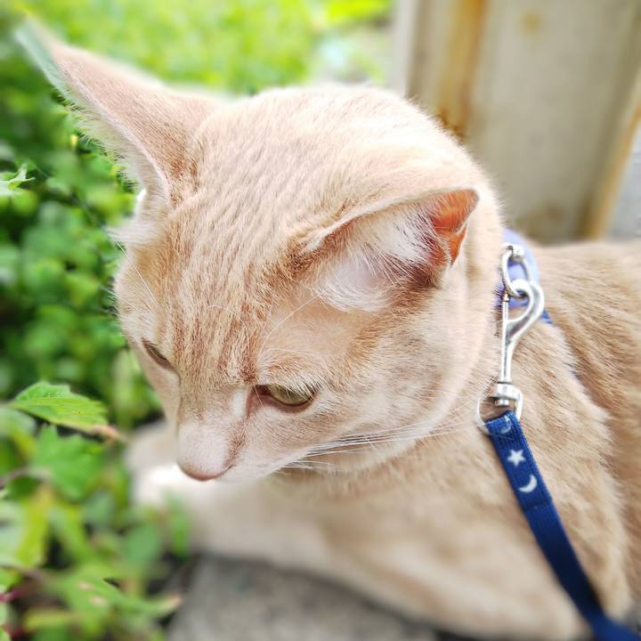 12fec090 ec61 42a2 a910 7987c1212299 1566722909177