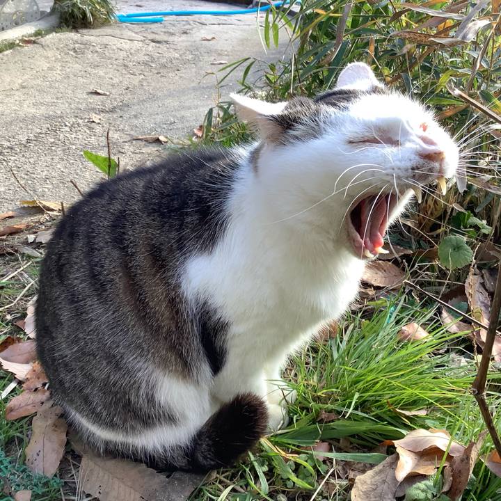 12fecd7a 333c 4539 8c20 5354f1bade2b 1576399224860