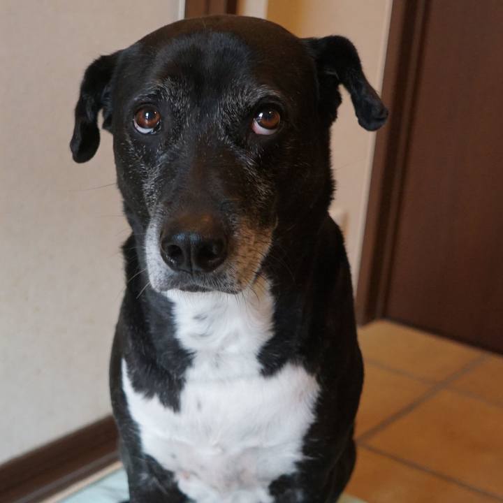 12ff03d5 f161 42e5 b447 468a92df3447 1762822611101