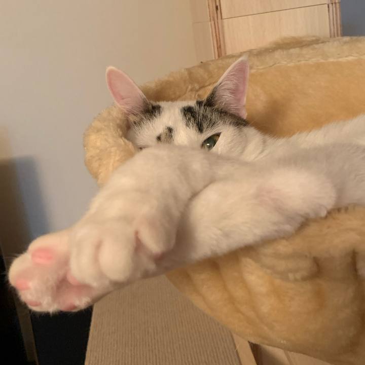 12ff1711 4e1a 42db 8a8c f7e9e94e5b45 1612317579536