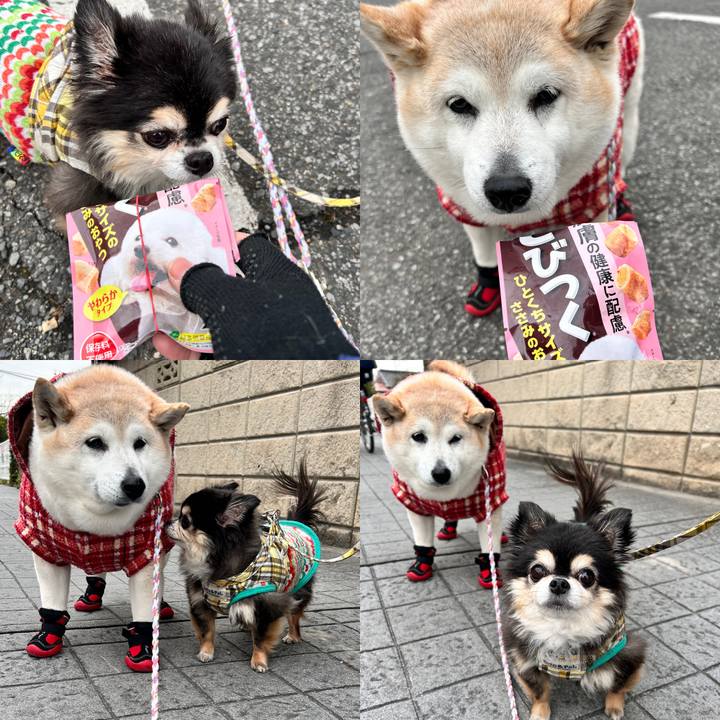 12ff87cb 4ea6 4463 a9a0 eba56584cc53 1738581507086