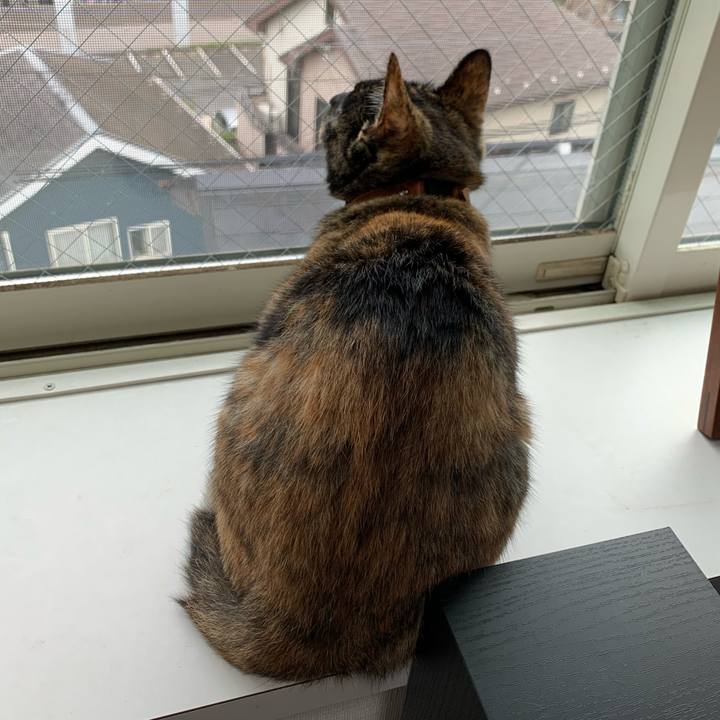 12ff8a4f 92ca 4e73 b672 61a125fb154f 1571631900482