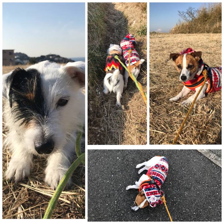 12ffa610 cef8 460b a796 f7fd95596bfc 1517361385779