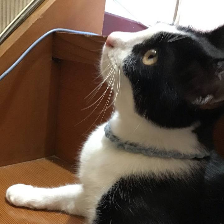 12ffb052 7858 4109 95c7 8b5043ed3508 1664188846963