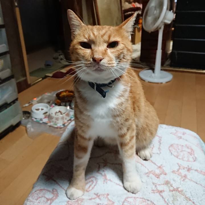 12ffd719 a69e 40f8 9214 d09d5f856460 1598299184083