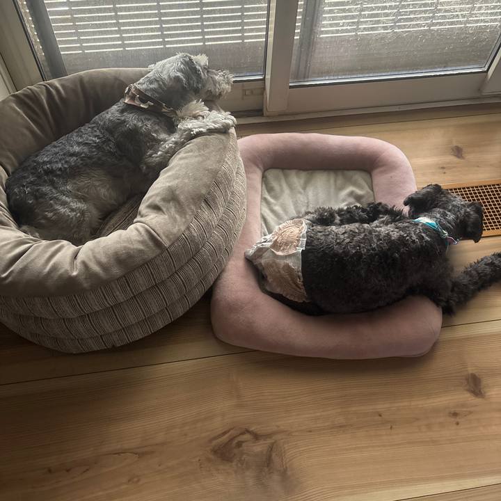 12ffdaf8 b256 49f2 aeda c9ed5807d4e7 1727057403872