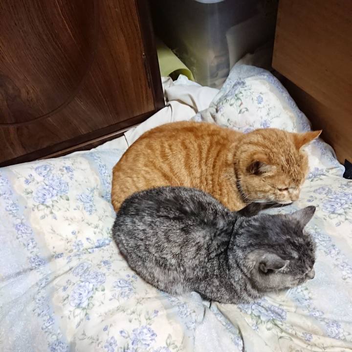 12ffe33a 5797 49df a703 2e80efbbc9e8 1578487488584