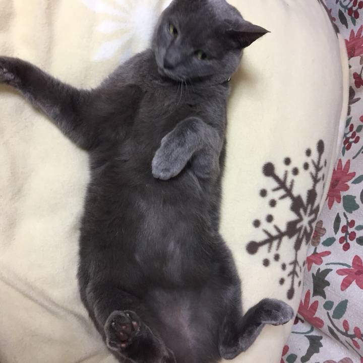 130010d1 d5c1 4fab 94c7 0cf2fa142553 1526611674740