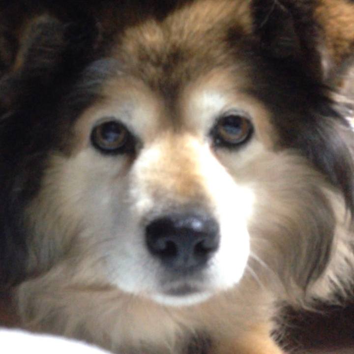 13005872 9217 4113 91e6 9619b59cbd71 1568507922871