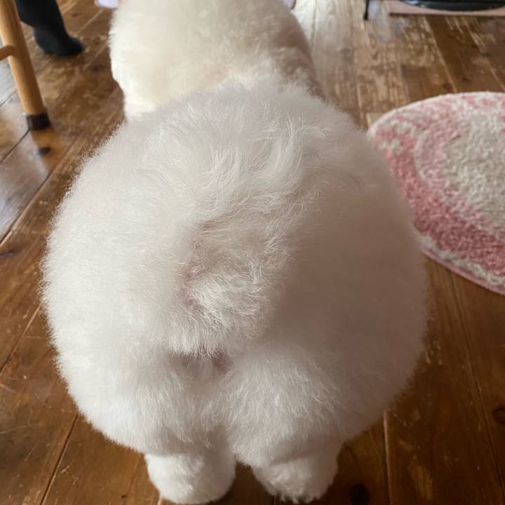 13007518 f2e7 41f9 8a0c 0aeaa7315b49 1606550551292