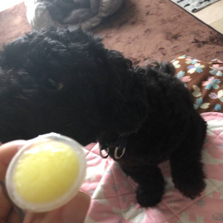 1300951e 63fc 4443 8dde afdea2641fc0 1563675566894