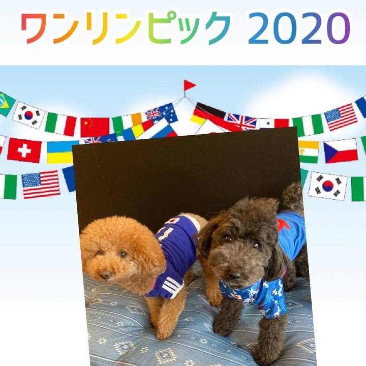 1300bbae 887e 4883 b1bc ddab96d35542 1627008511029