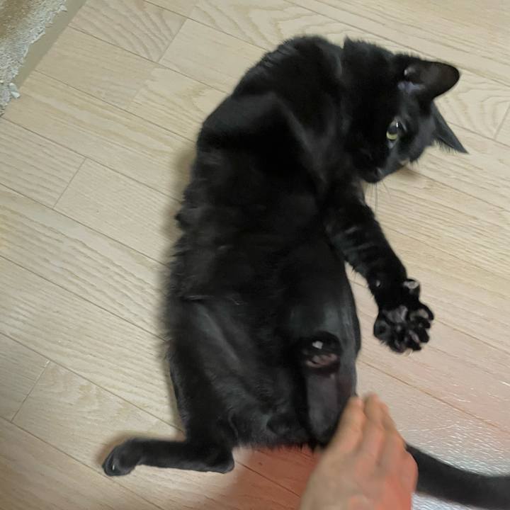 1300cf24 23ee 4793 b28f 963618a4c6c4 1763727888620