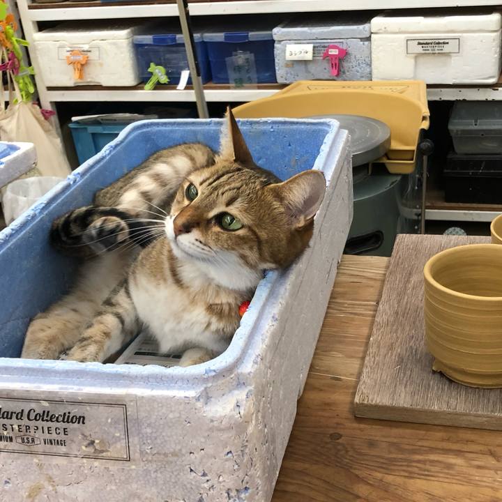 1300d7fc 84a9 4316 a292 2abaecd5ece1 1733545535933