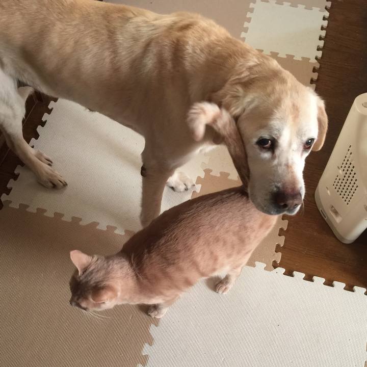 1300edcf dd2c 477a 9728 a818b17e1f45 1522014467721