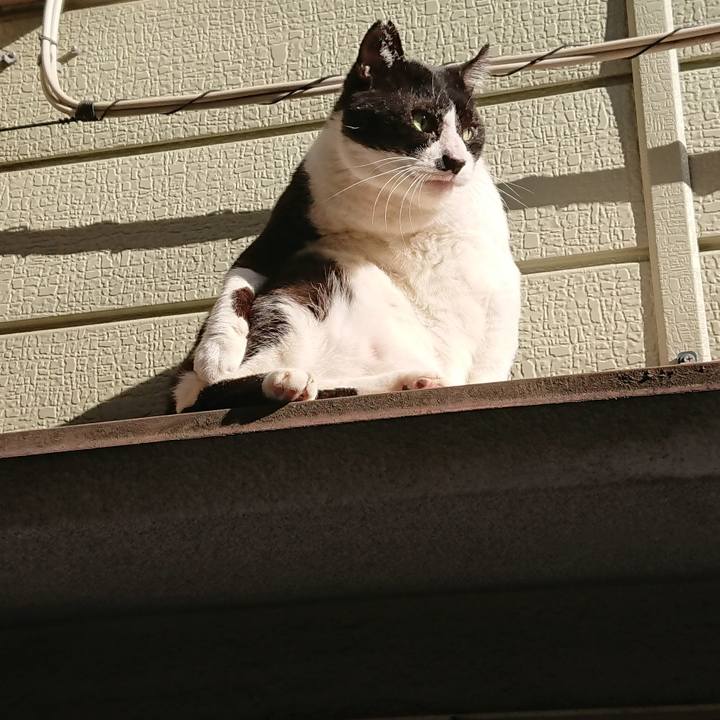 130170e3 6e95 477b 898b 008d8708e975 1570590940318