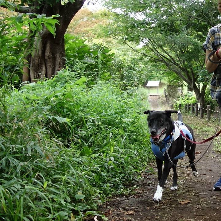 1301978a 70df 4067 b70c d730818be1bb 1722040970919