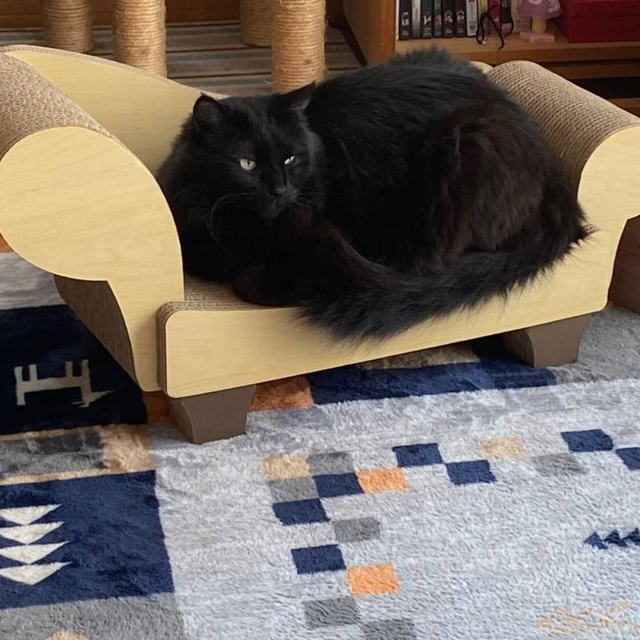 1301d481 b2a4 41a7 9312 e3706d980070 1588163719287