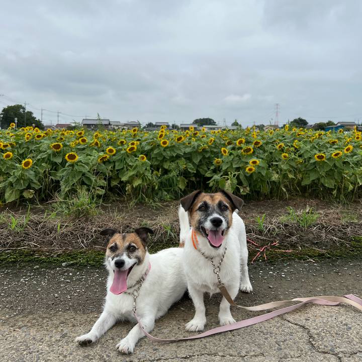 1301e3a7 f997 4c3a 88ef e5a77e8f004f 1694647790318