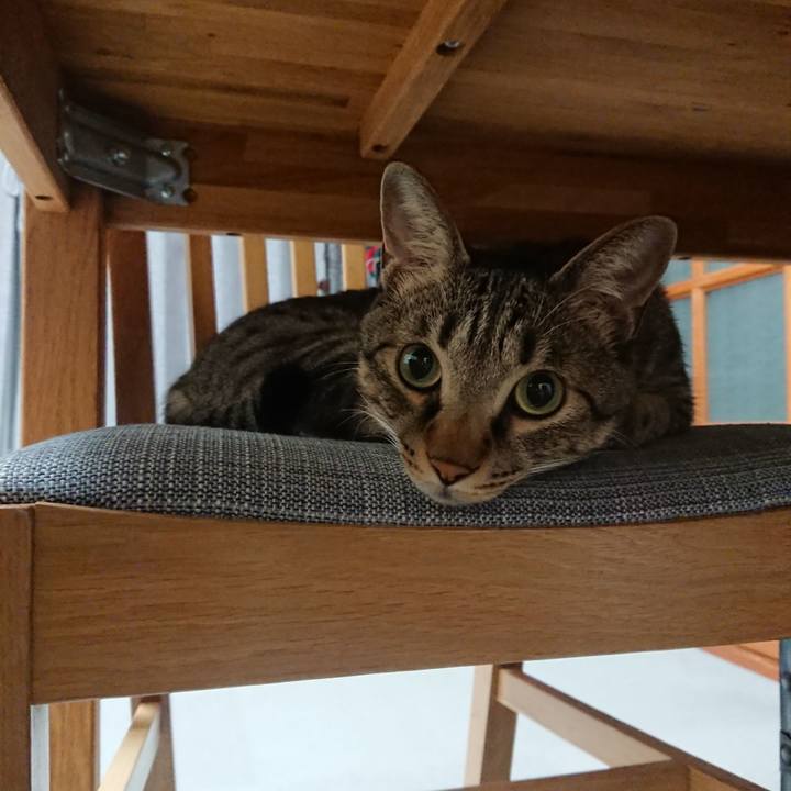 13022897 bc1e 4124 bd5e 595f97f00080 1534523773756