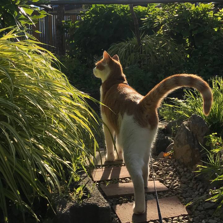 13025caa bc20 49cc b3c4 02edfd0ec715 1528113543278